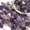 Natural Amethyst Chip Beads G-M364-12B-3