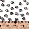 Picasso Glass Seed Beads SEED-N011-02J-4