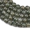Natural Green Rutilated Quartz Beads Strands GG-CBAC4F6-B01-8mm-C-3