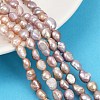 Natural Cultured Freshwater Pearl Beads Strands PEAR-P064-20I-01C-1