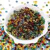 FGB Transparent Glass Seed Beads SEED-N013-01A-01-2