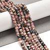 Natural Argentina Rhodonite Beads Strands G-B107-B01-01-2