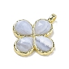 Natural Blue Lace Agate Faceted Pendants G-A308-01G-07-2