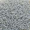 TOHO Round Seed Beads SEED-JPTR11-2101-2