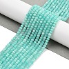 Natural Amazonite Beads Strands G-K376-B01-02-2