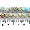 Dyed Natural Regalite/Imperial Jasper/Sea Sediment Jasper Beads Strands X-G-B124-C01-15-5