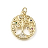 Brass Micro Pave Colorful Cubic Zirconia Charms CU-L001-12G-03-1