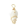 Natural Spiral Shell Pendants PALLOY-JF02792-01-3