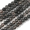 Natural Ice Obsidian Beads Strands G-P590-A03-6mm-02-2