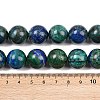 Natural Chrysocolla and Lapis Lazuli Beads Strands G-L648-A12-16mm-6
