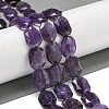 Natural Amethyst Beads Strands G-P544-B06-01-2