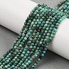 Natural Chrysocolla Beads Strands G-P514-A03-02-A-5