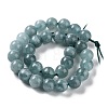 Dyed Natural Malaysia Jade Beads Strands G-G021-01A-01-3