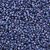 MIYUKI Delica Beads LS-X-SEED-J020-DB2319-2