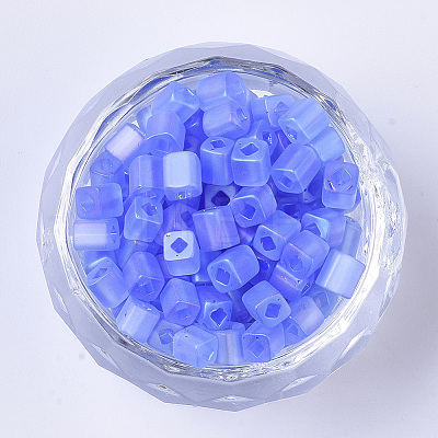 6/0 Transparent Glass Seed Beads X-SEED-S027-03B-06-1