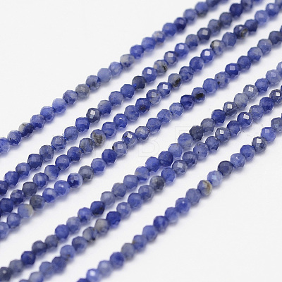 Natural Sodalite Bead Strands G-G936-2mm-19-1