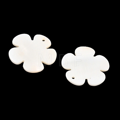 Shell Pendants PBB180Y-1