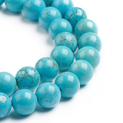 Natural Magnesite Beads Strands G-E559-01B-1