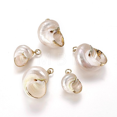 Electroplate Spiral Shell Pendants Y-BSHE-L036-02G-1