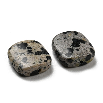 Natural Dalmatian Jasper Beads G-B050-04B-1
