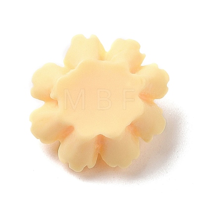 Opaque Resin Cabochons RESI-C036-02B-1