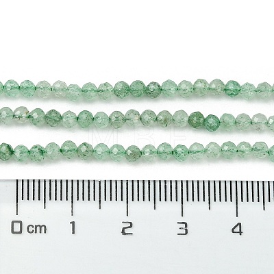 Natural Green Strawberry Quartz Beads Strands X-G-Z034-A02-02-1