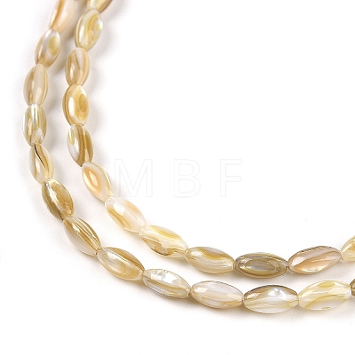 Natural Freshwater Shell Beads Strands X-BSHE-G036-03-1