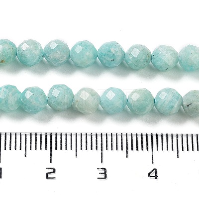 Natural Amazonite Beads Strands G-J400-E11-04-1