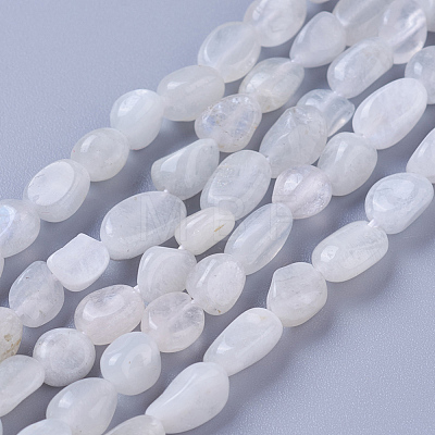 Natural White Moonstone Beads Strands G-P433-16-1