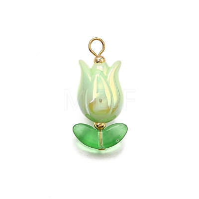 UV Plated Acrylic Pendants X1-PALLOY-TA00270-1