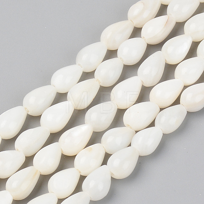 Natural Freshwater Shell Beads Strands SSHEL-R048-007B-1