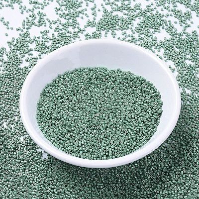 MIYUKI Delica Beads SEED-MY11-DB1171-1