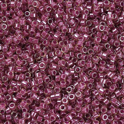 MIYUKI Delica Beads X-SEED-J020-DB0283-1
