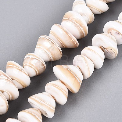 Natural Sea Shell Beads Strands SHEL-Q028-02-1