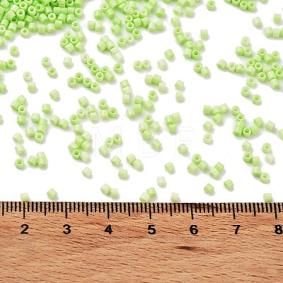 Baking Paint Glass Seed Beads X-SEED-S042-05B-65-1