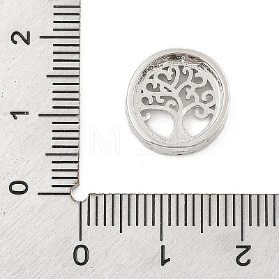 Brass Micro Pave Clear Cubic Zirconia Slide Charms ZIRC-I068-31P-1