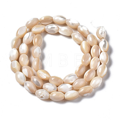 Natural Trochid Shell/Trochus Shell Beads Strands X-SSHEL-S266-021B-02-1