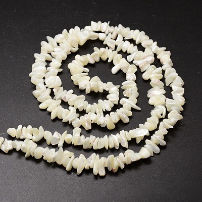 Natural Trochid Shell/Trochus Shell Beads Strands X-SSHEL-K014-07-1