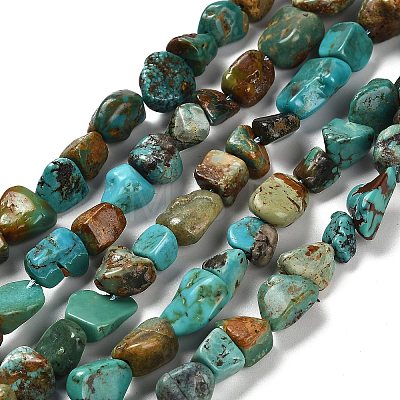 Natural HuBei Turquoise Beads Strands G-P497-01E-19-1