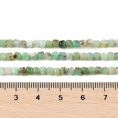 Natural Chrysoprase Beads Strands G-G140-C07-02A-1