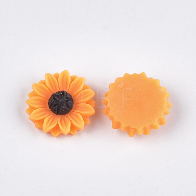 Resin Cabochons X-CRES-T010-60-1