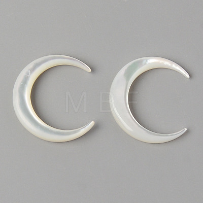 Natural White Shell Mother of Pearl Shell Beads X-SHEL-N026-68-1