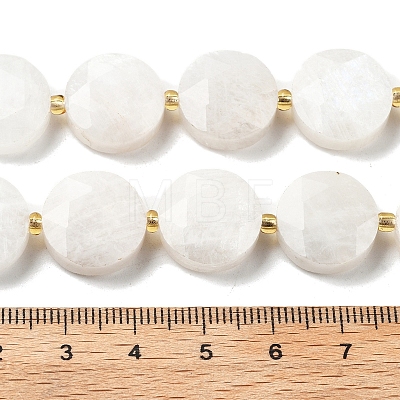 Natural Rainbow Moonstone Beads Strands G-C116-A168-03-1