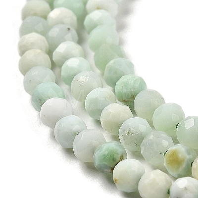 Natural Green Opal Beads Strands G-Z035-A02-02B-1