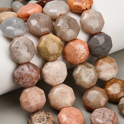 Natural Fossil Coral Beads Strands GG-CBA362F-01-1