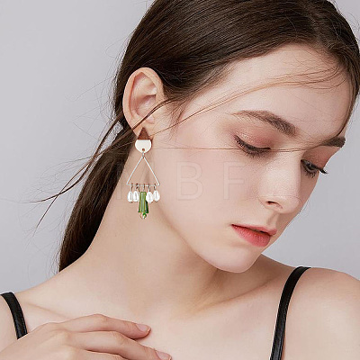 12 Pairs 12 Colors Transparent & Opaque Resin & Walnut Wood Stud Earring RESI-FH0001-42-1