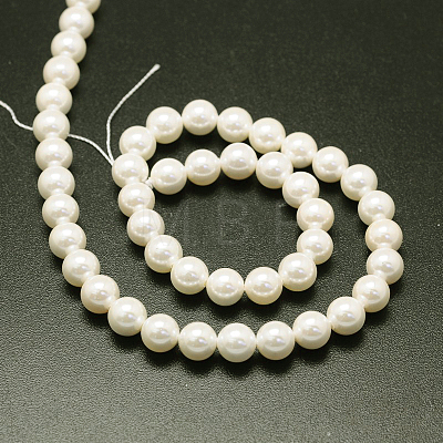 Shell Pearl Beads Strands BSHE-E008-16mm-12-1