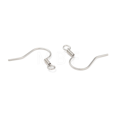 316 Surgical Stainless Steel Earring Hooks X1-STAS-E009-2-1