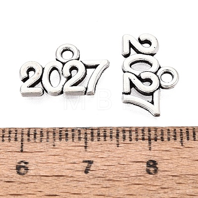 New Year's Day Tibetan Style Alloy Charms LS-FIND-N014-01AS-1