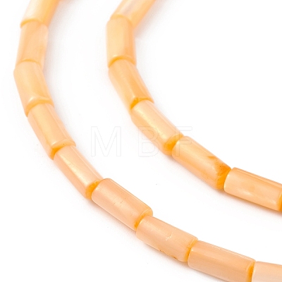 Natural Freshwater Shell Dyed Beads Strands SHEL-M018-11-1